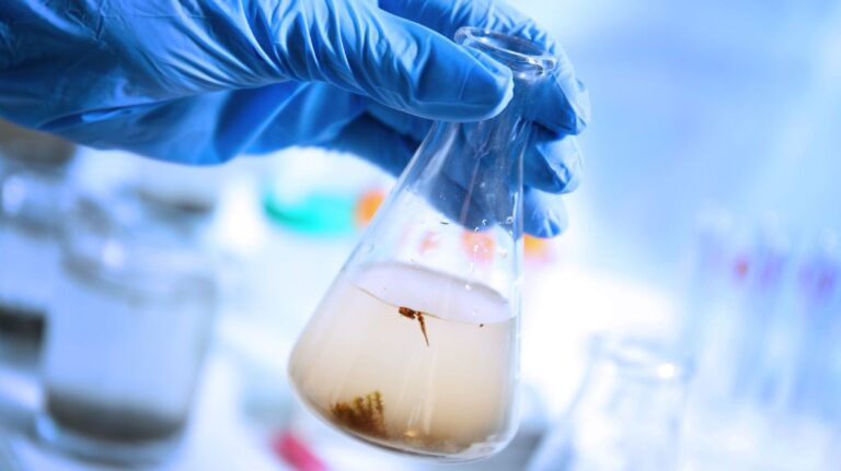 Hand with Medical Glove Holding Beaker of Dirty Water