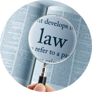 Magnifying Glass Over the Word Law in a Dictionary