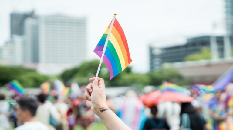 lgbtq flag