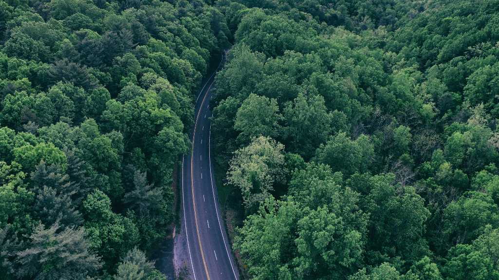virginia state