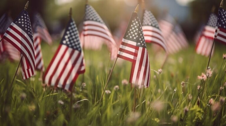 Small American Flags in Grass
